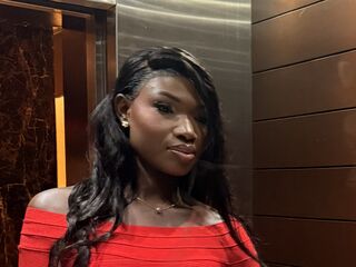 strippercam ChannelVoss