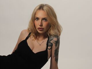 teaser cam LowerFrancis