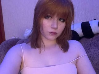 live webcam MiSokimo